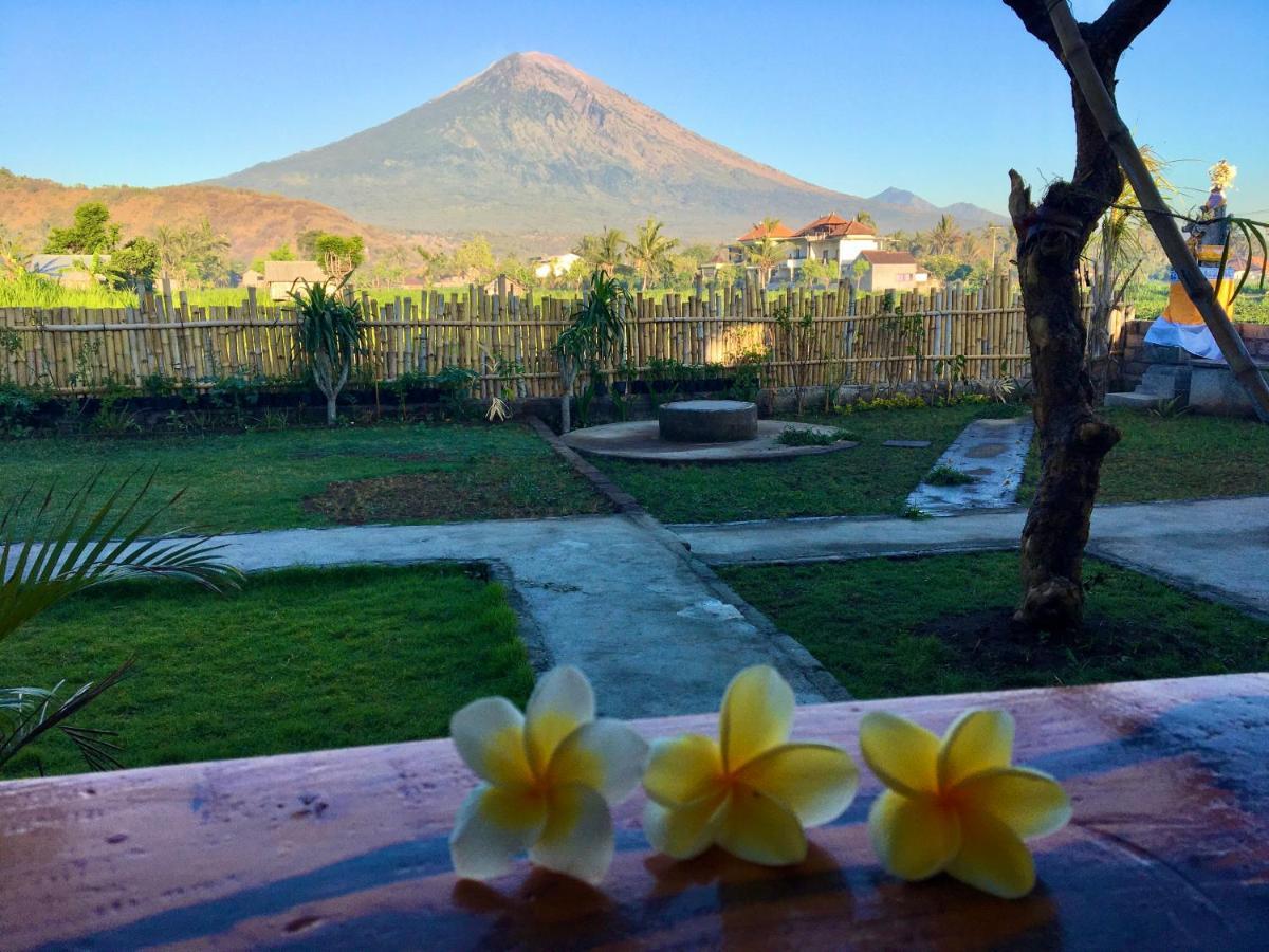 Agung Mini-hôtel Amed